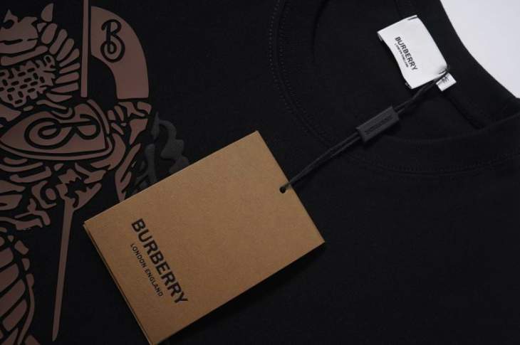 Dior T Shirts Short _SKUDiorS-3XLyktrT11715868
